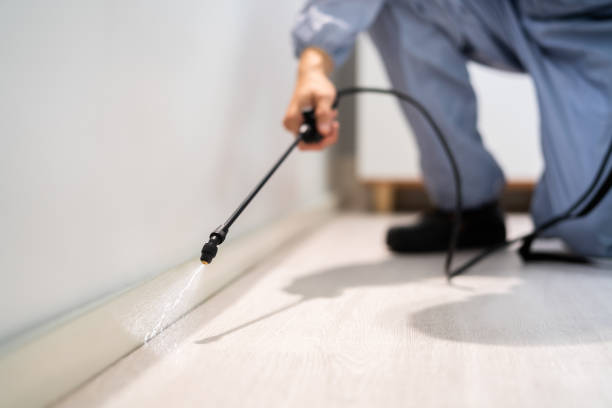 Licensed Pest Control service in Oswego, KS - Show Me Pest Control