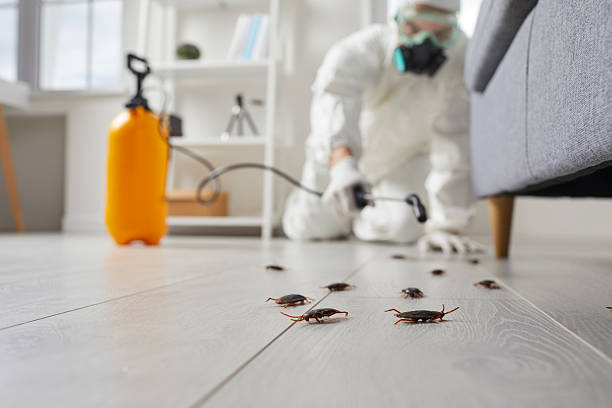 Commercial Rodent Management in Oswego